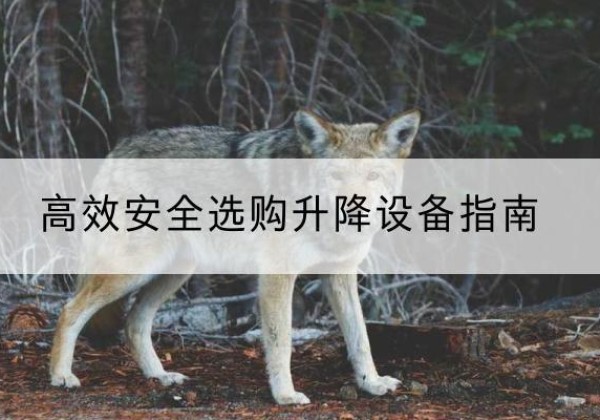 德化升降货梯厂家推荐-*安全选购升降设备指南