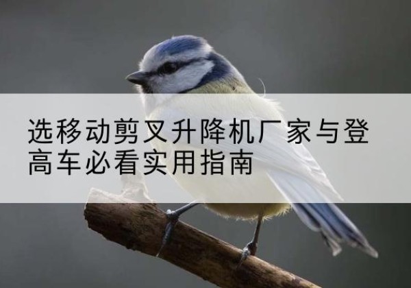 德化电动升降机厂家-选移动剪叉升降机厂家与登高车必看实用指南
