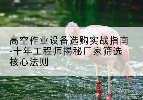 德化剪叉式升降机厂家-高空作业设备选购实战指南-十年工程师揭秘厂家筛选核心法则